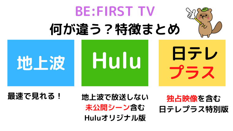 ビーファーストTV　Hulu 日テレプラス　違い